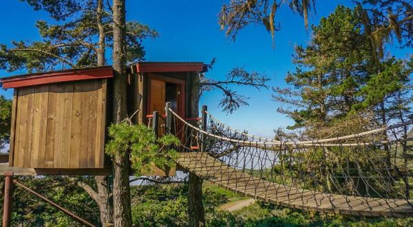 This Treehouse Resort In Northern California May Just Be Your New Favorite Destination