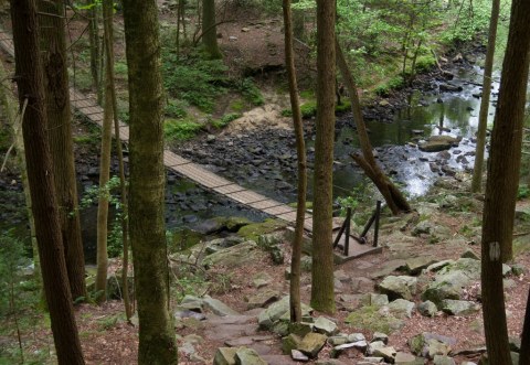 The Magnificent Bridge Trail In Tennessee That Will Lead You To A Hidden Waterfall