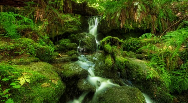 Your Kids Will Love This Easy 2-Mile Waterfall Hike Right Here In Northern California