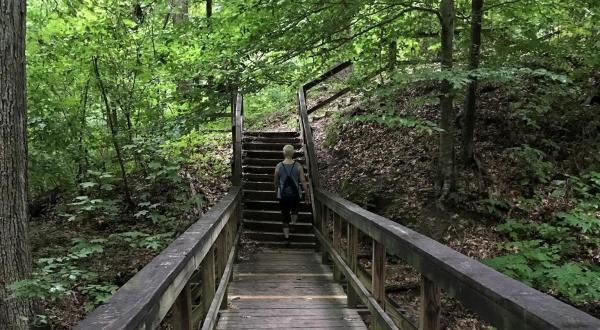 The Easy Trail In Mississippi That Will Take You To The Top Of The World