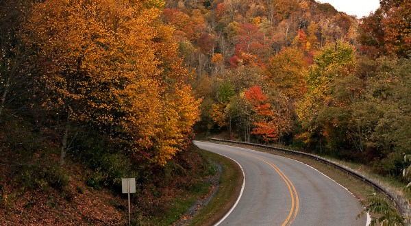 The Tennessee Back Road That Will Take You On A One-Of-A-Kind Adventure