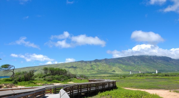 7 Boardwalks In Hawaii That Will Make Your Summer Awesome