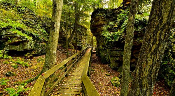 11 Totally Kid-Friendly Hikes In West Virginia That Are 1 Mile And Under
