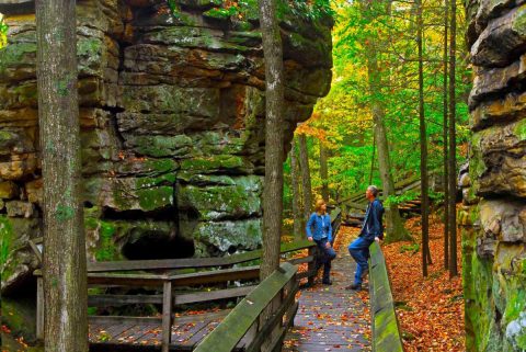 This West Virginia Park Has Endless Boardwalks And You'll Want To Explore Them All