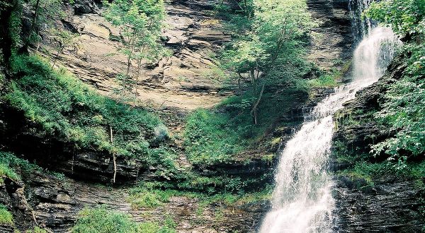 Discover One Of West Virginia’s Most Majestic Waterfalls – No Hiking Necessary