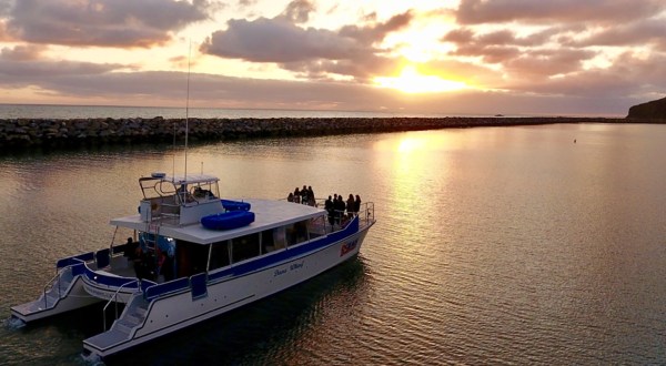 This Sunset Wine Cruise In Southern California Is The Perfect Summer Adventure