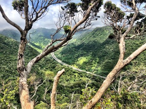 The Unique Hike In Hawaii That Leads You To Plane Wreckage From 1944