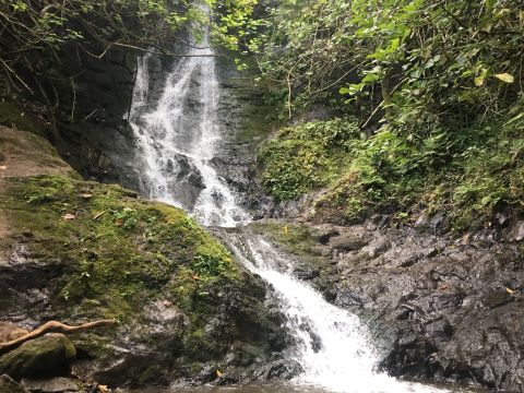 Your Kids Will Love This Easy 1.5-Mile Waterfall Hike Right Here In Hawaii