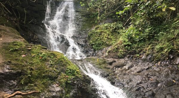 Your Kids Will Love This Easy 1.5-Mile Waterfall Hike Right Here In Hawaii