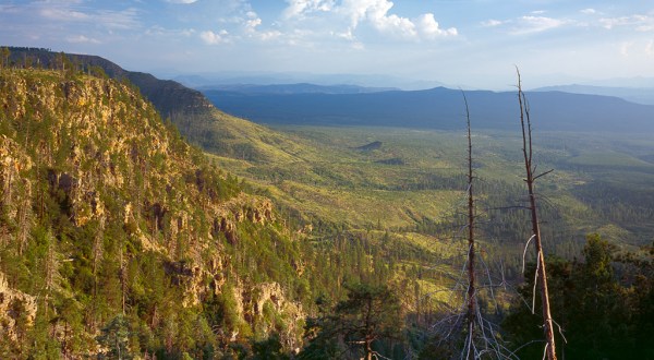 The Greenest Spot In Arizona Will Transport You To A Lush New World