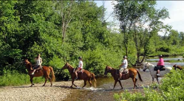 5 Unforgettable Horseback Riding Adventures You Can Only Have In New Hampshire