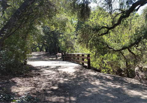 The Hidden Oasis In Southern California Where You'll Discover The Most Breathtaking Trails