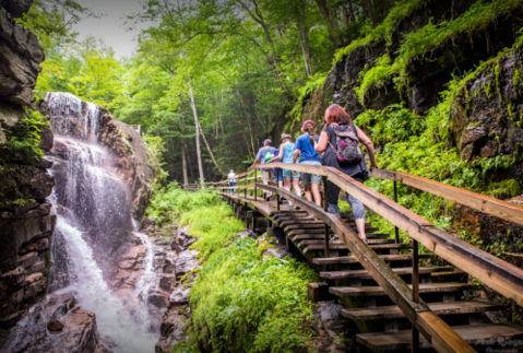 This Beautiful Boardwalk Trail In New Hampshire Is The Most Unique Hike Around