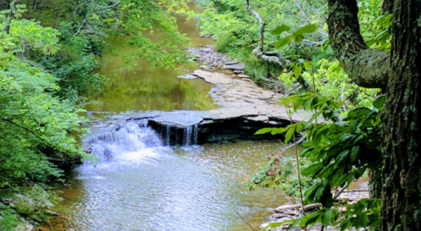 The Natural Swimming Hole Near Cincinnati That Will Take You Back To The Good Old Days
