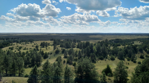 The Incredible Fire Tower Hike That Will Give You Unparalleled Views Of Nebraska