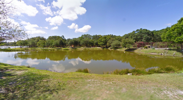 The One-Of-A-Kind Park In Florida Where You Can See Wild Cats Up Close