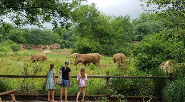 Most People Don’t Know You Can Stay Overnight At This Extraordinary Zoo In Tennessee