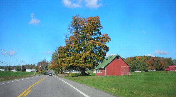 Take These 7 Country Roads Near Buffalo For A Gorgeous Scenic Drive