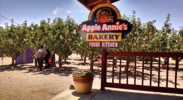 If You Only Visit One Arizona Orchard This Year Make It This One