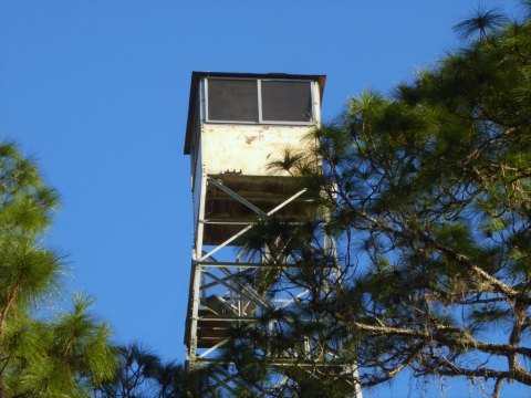 The Incredible Fire Tower Hike That Will Give You Unparalleled Views Of Florida