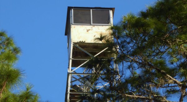 The Incredible Fire Tower Hike That Will Give You Unparalleled Views Of Florida