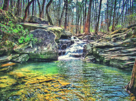 Take A Hike Through This Magnificent Oasis In Alabama For An Unforgettable Outdoor Adventure