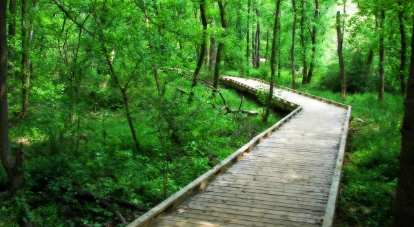 This South Carolina Park Has Endless Boardwalks And You’ll Want To Explore Them All