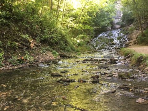Discover One Of Iowa's Most Majestic Waterfalls - No Hiking Necessary
