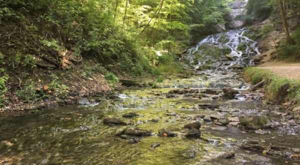 Discover One Of Iowa’s Most Majestic Waterfalls – No Hiking Necessary