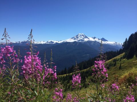 The 9 Trails In Washington You Absolutely Have To Hike This Summer