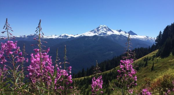 The 9 Trails In Washington You Absolutely Have To Hike This Summer