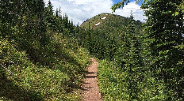 These 7 Montana Trails Are Ripe For Berry-Picking