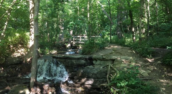 Your Kids Will Love This Easy 1-Mile Waterfall Hike Right Here In Missouri