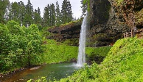 The Hike In Oregon That Takes You To Not One, But TEN Insanely Beautiful Waterfalls