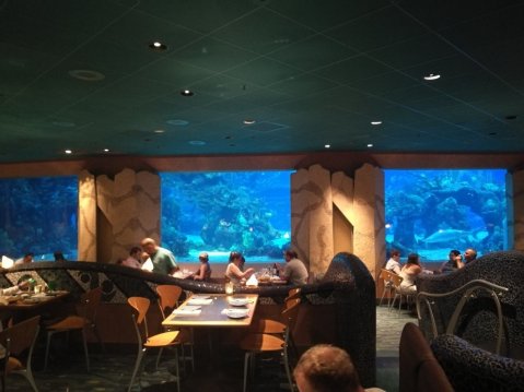 Dining At This Ocean-Themed Restaurant In Florida Will Delight You In Every Way