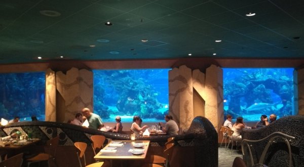 Dining At This Ocean-Themed Restaurant In Florida Will Delight You In Every Way
