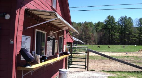 This Charming New Hampshire Farm Has Ice Cream And A Petting Zoo