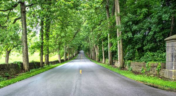 The Scenic Kentucky Back Road You Simply Must Drive This Summer