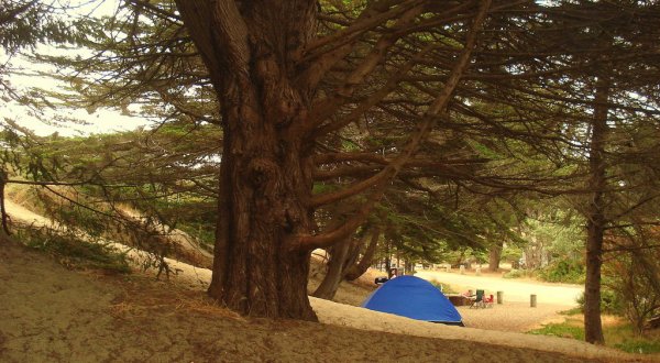 This Dreamy Beach Campground In Northern California Belongs On Your Bucket List