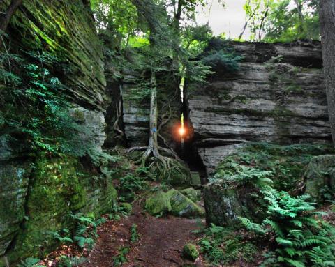 The Underrated Natural Wonder Every New Yorker Should See At Least Once