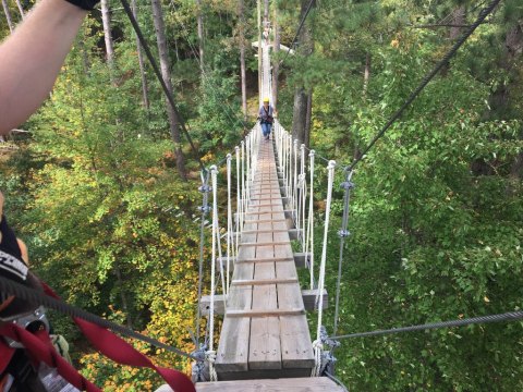 The Treetop Trail That Will Show You A Side Of Wisconsin You've Never Seen Before