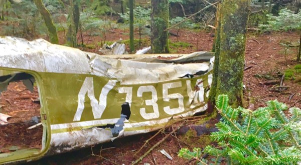 The Unique Hike In North Carolina That Leads You To Plane Wreckage From 1978