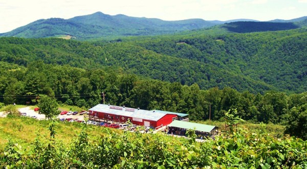 If You Only Visit One North Carolina Orchard This Year Make It This One