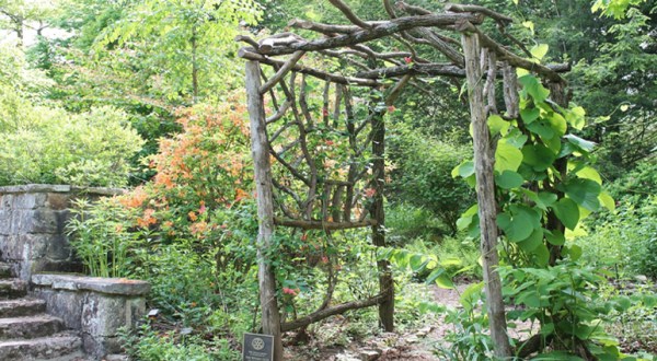 Most People Overlook This Dreamy North Carolina Mountain Garden