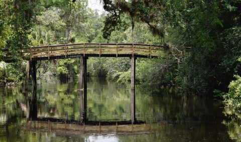 This Might Just Be The Most Beautiful Campground In All Of Florida