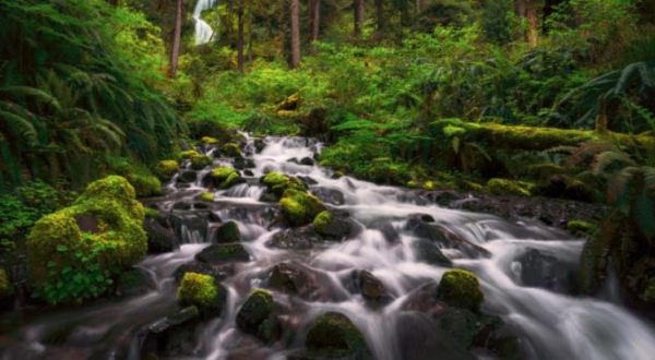 This Enchanting Valley Is Officially The Quietest Place In America