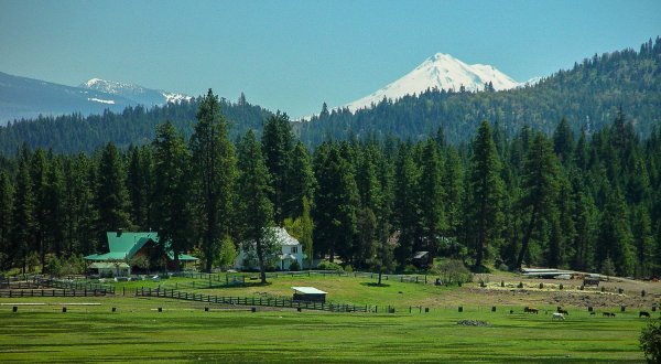 The Adventure Ranch In Oregon That’s Perfect For A Family Trip