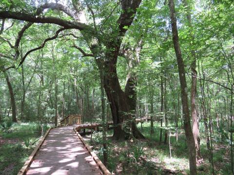 A Trip To This Nature Station In Louisiana Makes For A Picture Perfect Day