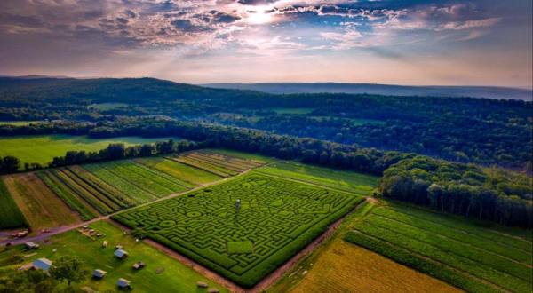 Get Lost In This Awesome 11-Acre Corn Maze In Pennsylvania This Autumn