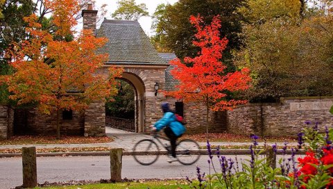 The Awesome Hike In Pittsburgh That Will Take You To The Most Spectacular Fall Foliage In The State